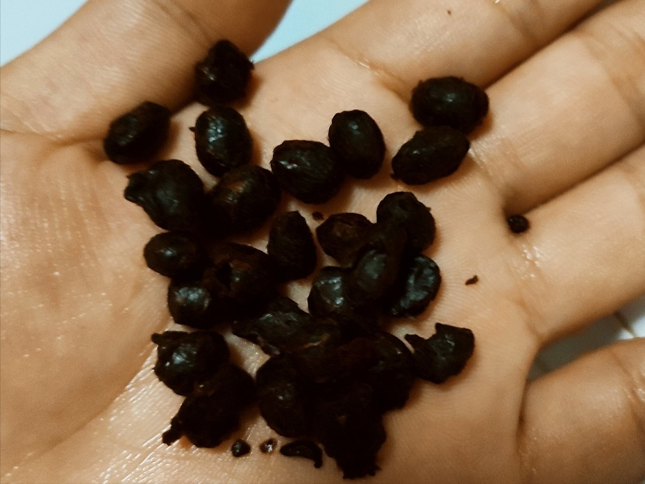 高壓鍋菜譜,高壓鍋菜譜大全