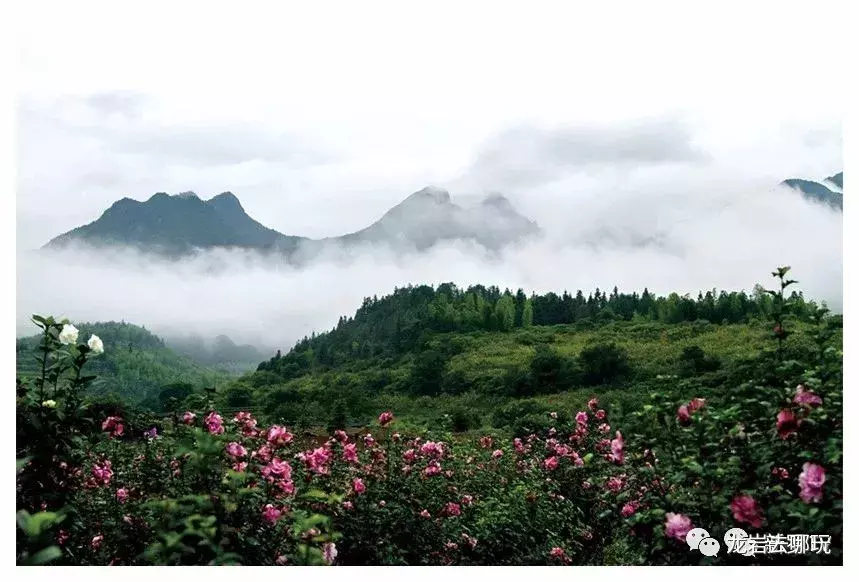 新罗区十大景点介绍,你知道几个?