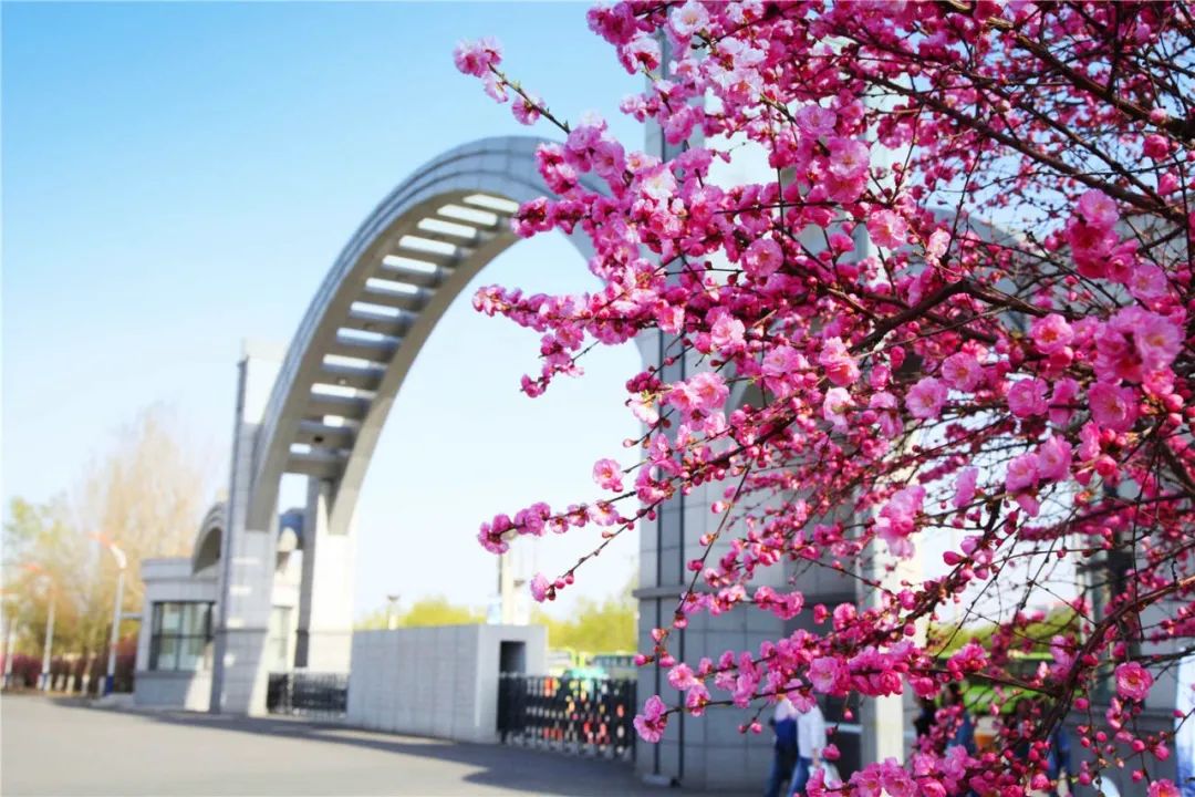 新区高校集结 | 网络铸魂 数字德育，走进黑龙江财经学院！