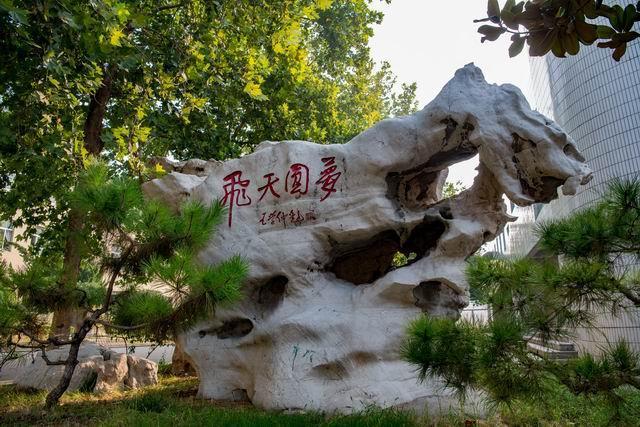 2020高考枣庄三中滕州一中都有学生挺进省前3，谁是你心中最好的