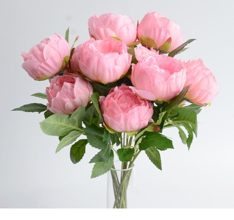 送棉花花束什么意思（32种鲜切花对应的花语）