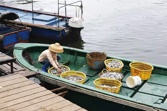 海南自驾最强攻略：海南自驾游指引（收藏版）