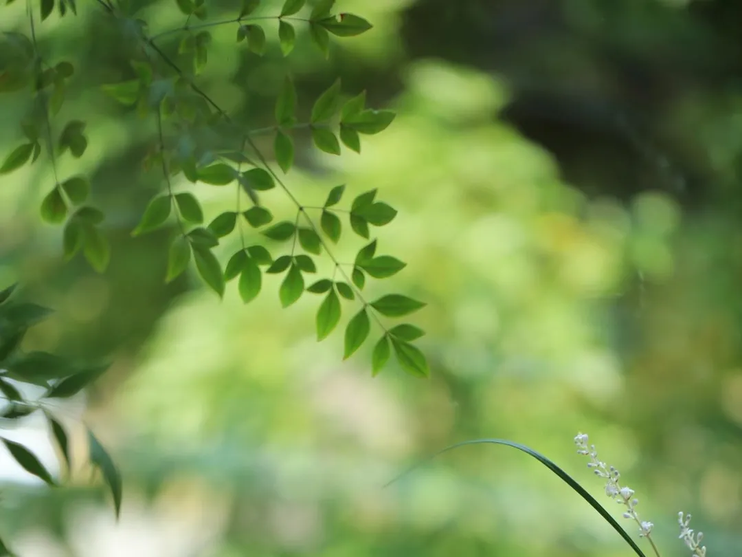 这180句最经典的诗词，道尽了人一生最珍贵的3种感情