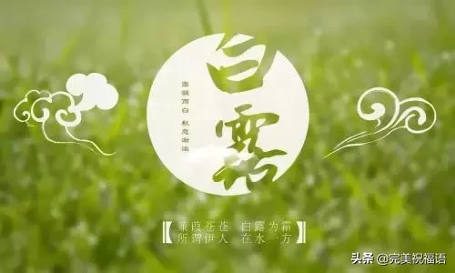 明日白露，祝你快乐