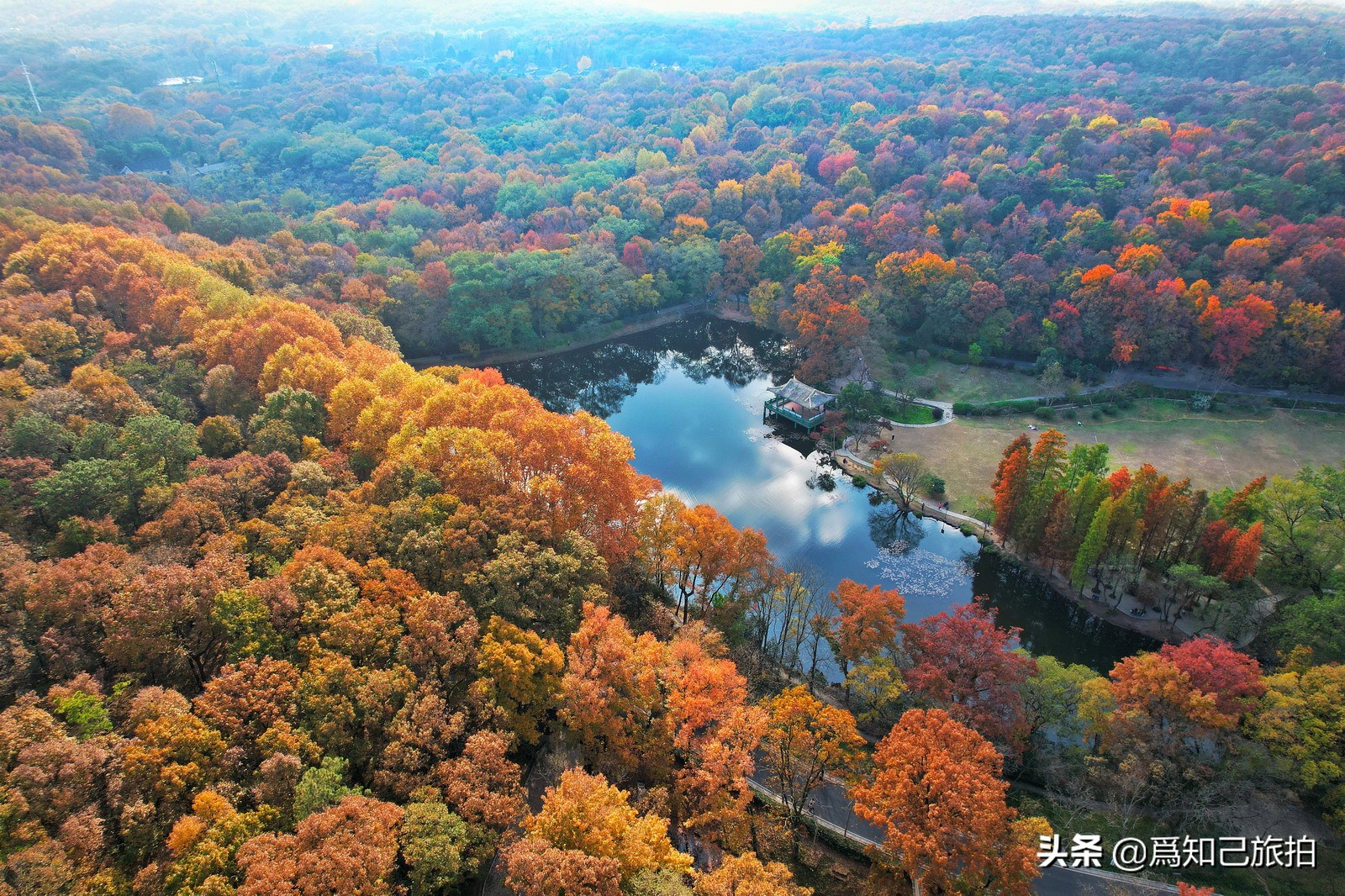 关于中山陵的美文(中山陵的秋天美文) _晶羽文学网