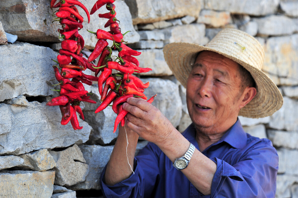 吃辣椒是損害健康，還是延年益壽？ 醫生告知真相，別錯過