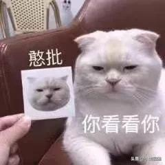 学生证竟然有这些隐藏优惠？后悔为什么没有早点知道