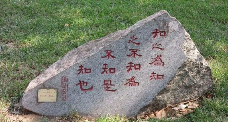 鲁南“十四五规划”落地，支持曲师建设双一流，济宁高校即将爆发