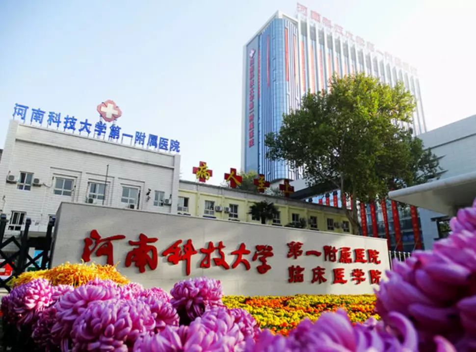 「河南」 河南科技大学第一附属医院，招聘人才公告