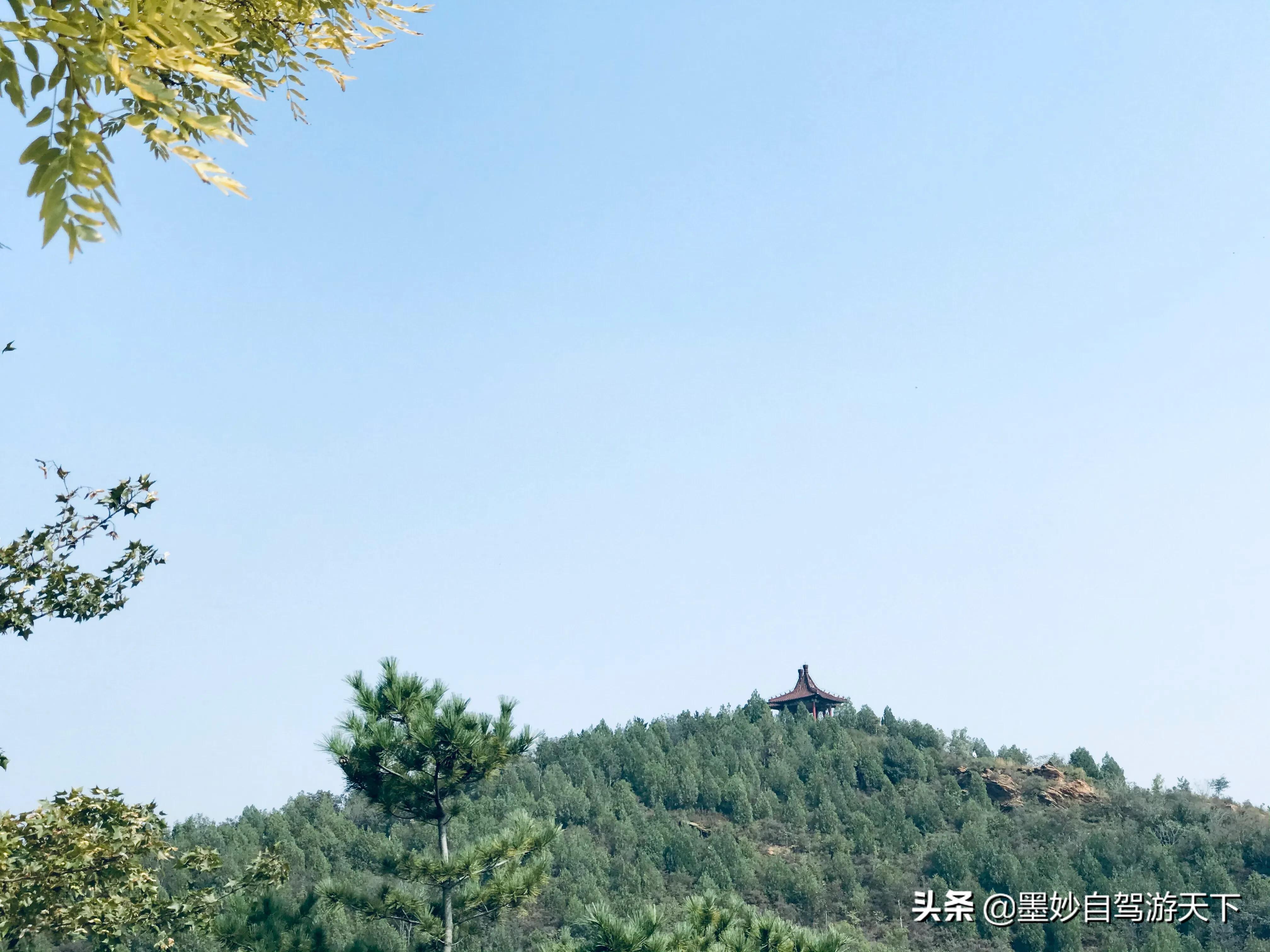 不出京城到江南｜北京市内交通便利的森林公园，端午洗肺好去处
