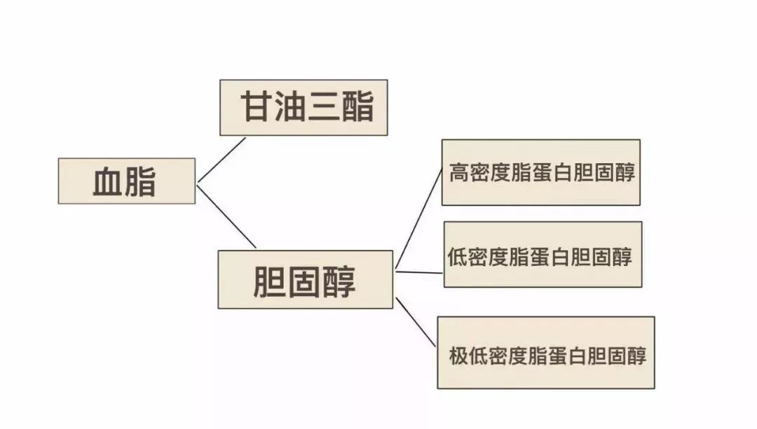 總膽固醇(tc)或/和低密度脂蛋白膽固醇(ldl-c)升高;(2)高甘油三酯血癥