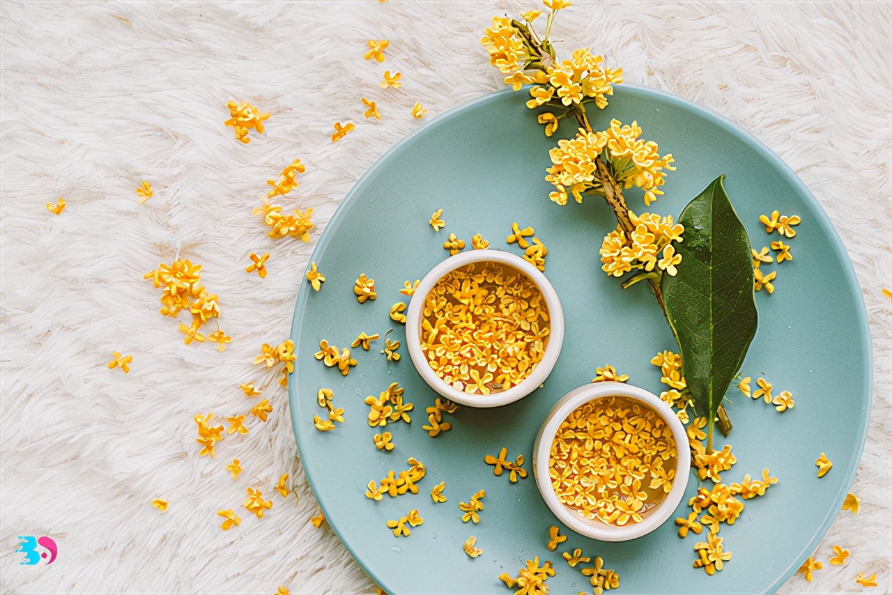 桂花茶怎么做（干货分享桂花茶的制作方法）