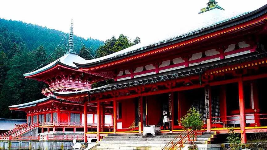 东瀛志：为什么日本人如此喜欢菊花？