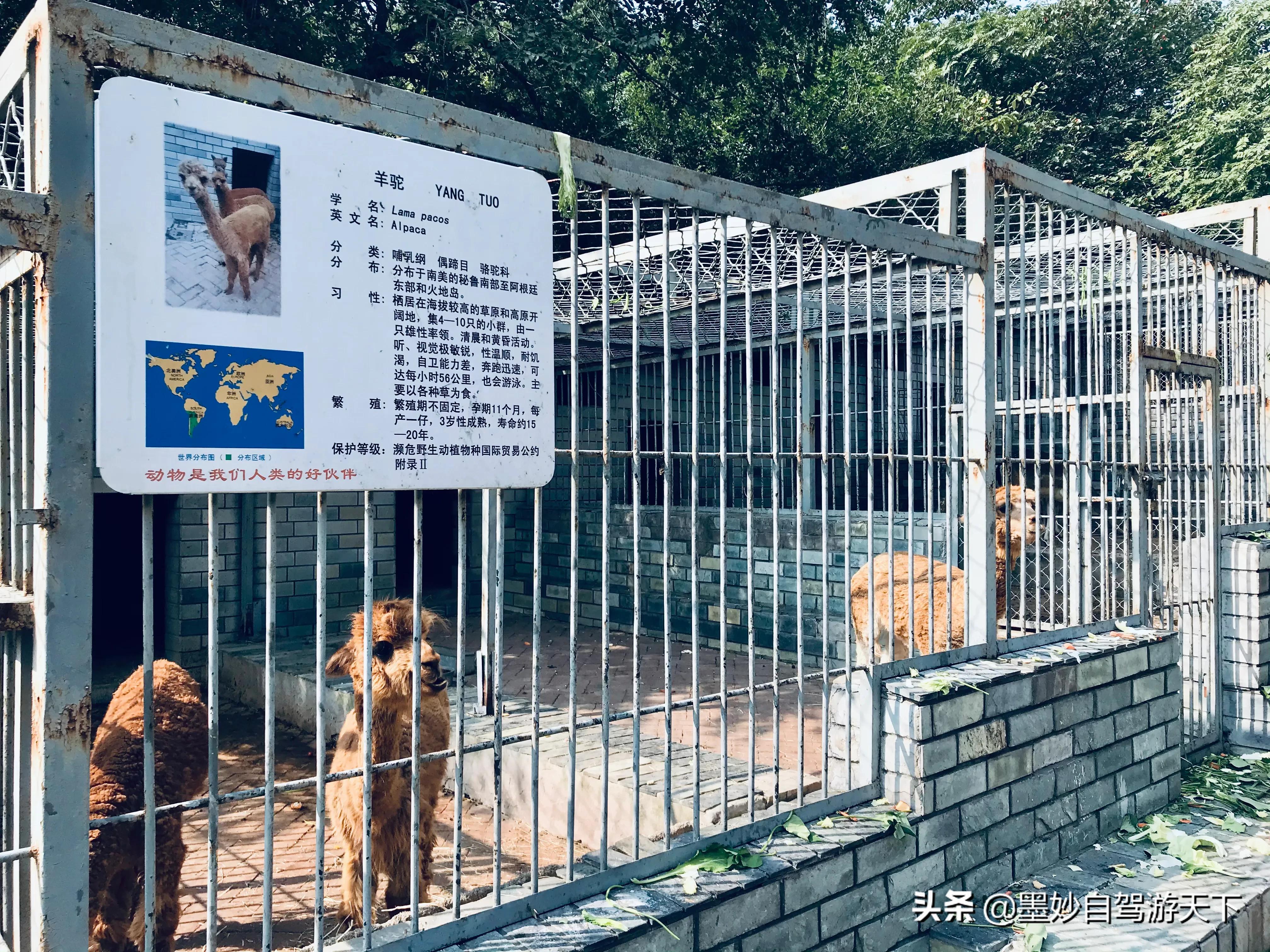 不出京城到江南｜北京市内交通便利的森林公园，端午洗肺好去处