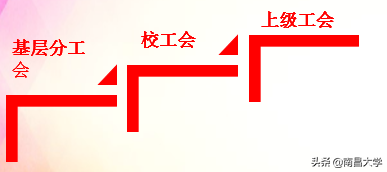 我们的2019 | 走进生命科学学院、玛丽女王学院、管理学院、基础医学院、工会、保卫处