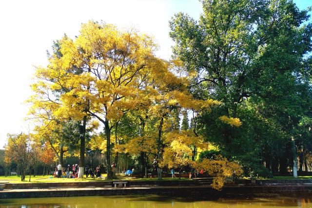 昆明的私家花园“庾园”及“鲁园”