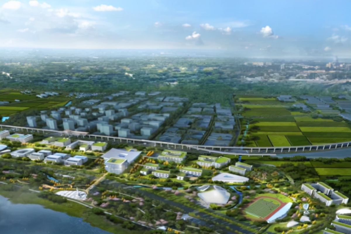 恭喜！宁波市这一区被选中，迎来一研究型大学，投资高达460亿元