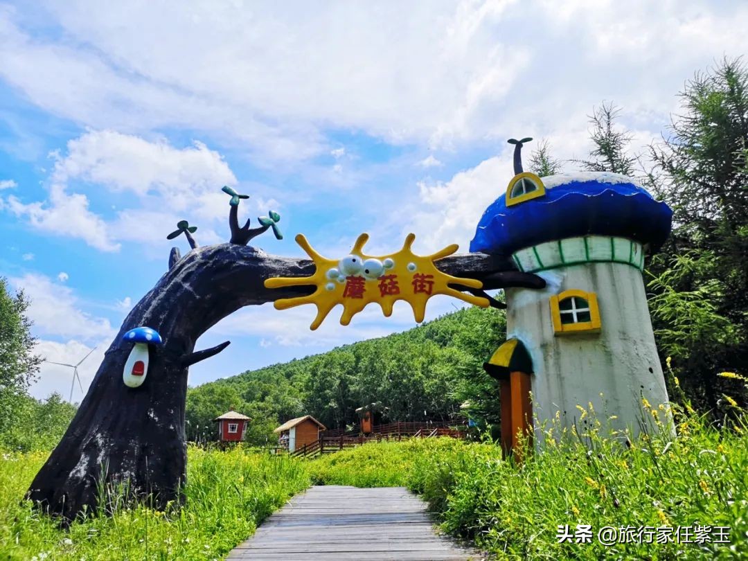 承德坝上，想和你潜入森林漫步草原，看日出日落，雨疏星骤