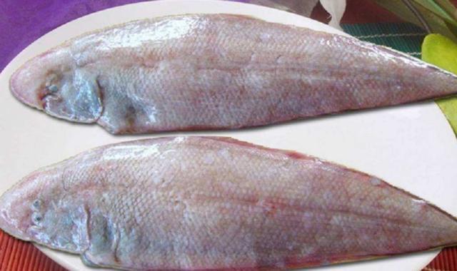 龍利魚的做法大全家常,龍利魚的做法大全家常清蒸