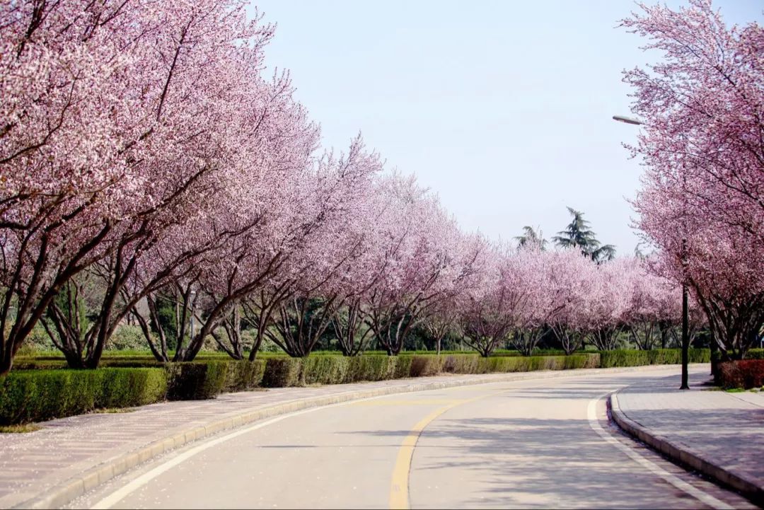 西安这座学费高达3万的大学，凭什么比985、211还受人欢迎？