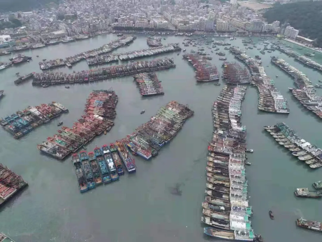 开渔了!一大波生猛海鲜正在冲向广东人的餐桌