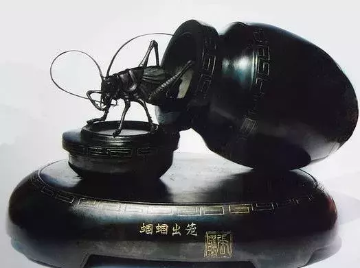 煤精:我不是煤,也没成精,我是宝石