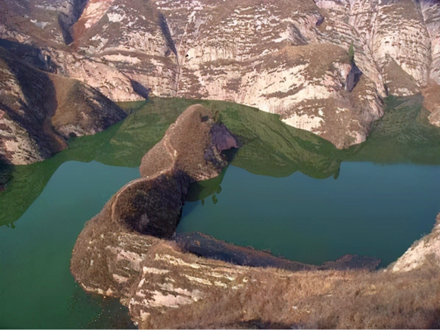 大连蛇岛是怎么成的?为何有那么多毒蛇,2万条毒蛇如何活下来?