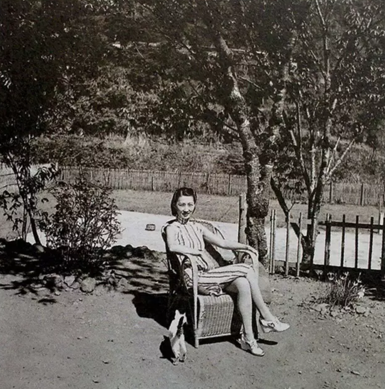 2001年张学良葬礼上，老管家公开两个数字，揭开少帅在台湾的无奈