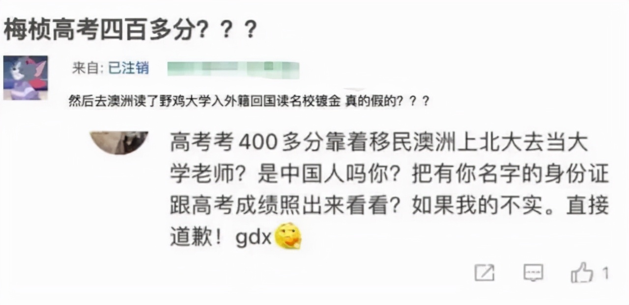 北大美女博士梅桢“翻车”，高考分数仅400多分，外籍身份惹争议