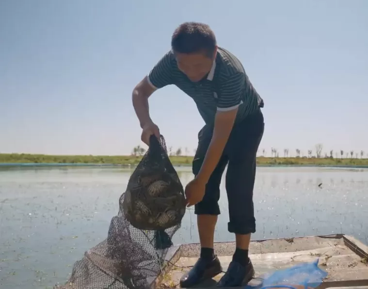 那些在&ldquo;新农村&rdquo;认真创新的人