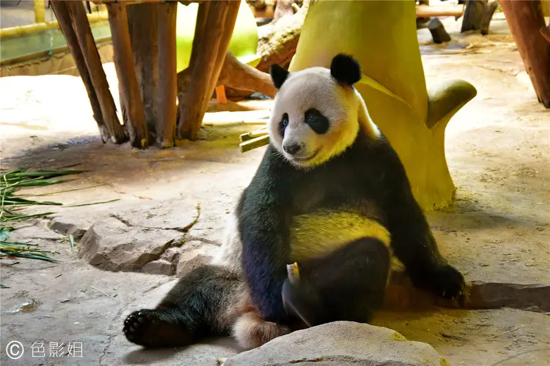 长隆欢乐世界旅游攻略景点必去（三天三夜欢乐长隆之旅）