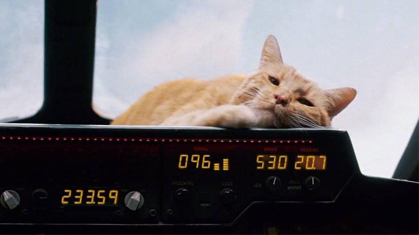 全面解析《惊奇队长》“噬元兽”，这只橘猫究竟是什么怪物？