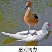 @应届生：你所需要的网络招聘会信息都在这里