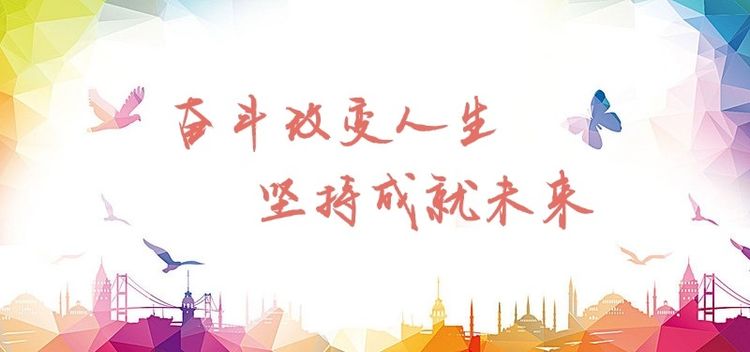 邯郸四中2017高考成绩（清华馒头神）