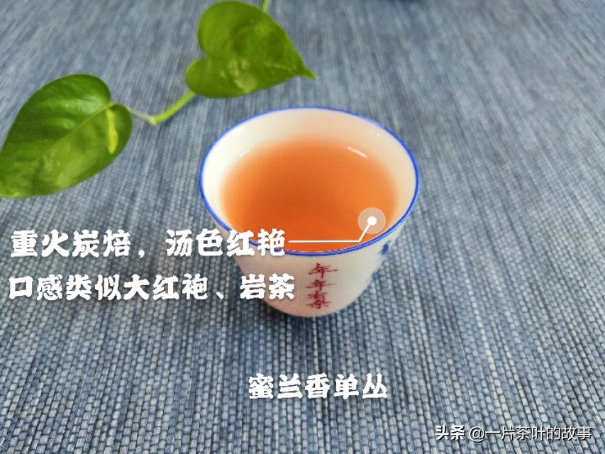 凤凰单丛茶是属于什么茶（一分钟全方位了解凤凰单丛）