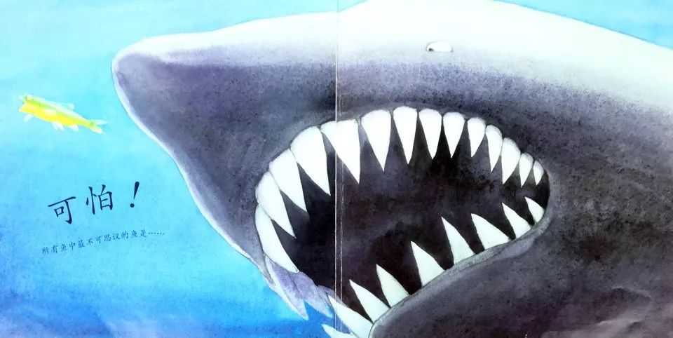 细节中见高低，《一条聪明的鱼》：告诉孩子追梦的脚步，不该停