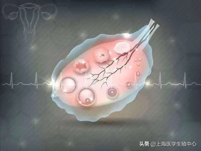 在试管助孕治疗中,女性需要承受什么?
