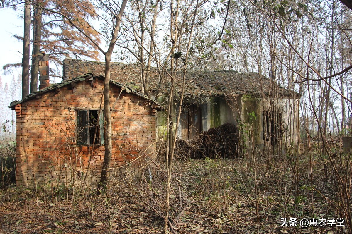 农村宅基地闲置多久会被收回？有补偿吗？2021闲置宅基地政策解读