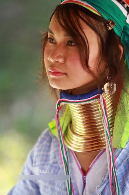 泰国北部喀伦族长颈美女(图)