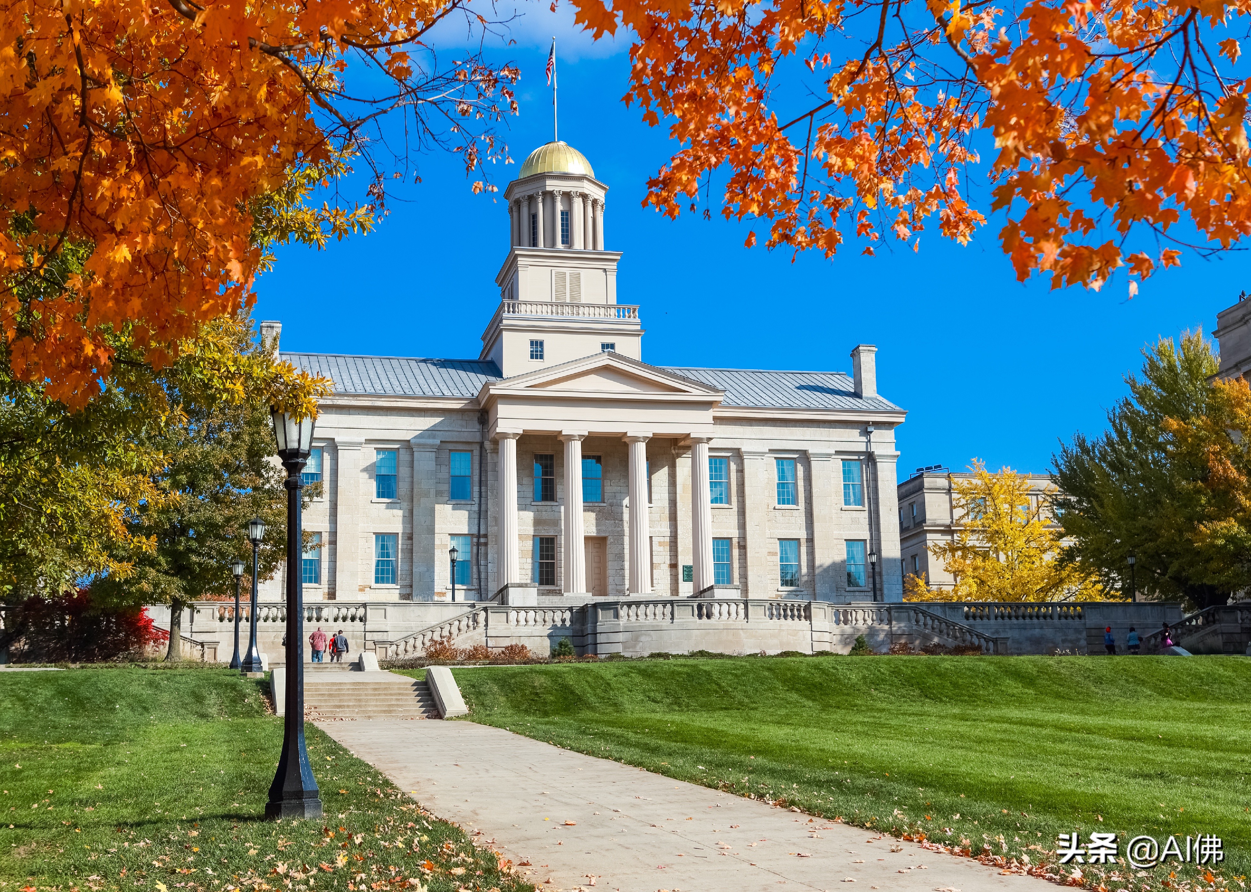 美国每个州ROI最高的公立大学