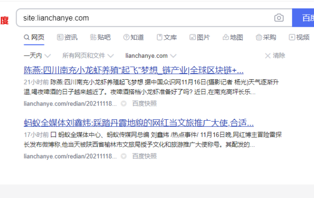 蚂蚁全媒体中心刘鑫炜：企业网站推广的方法有哪些，附推广方案
