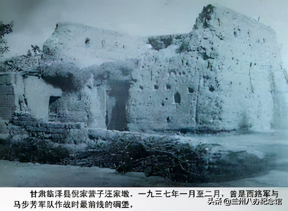 在线观展 