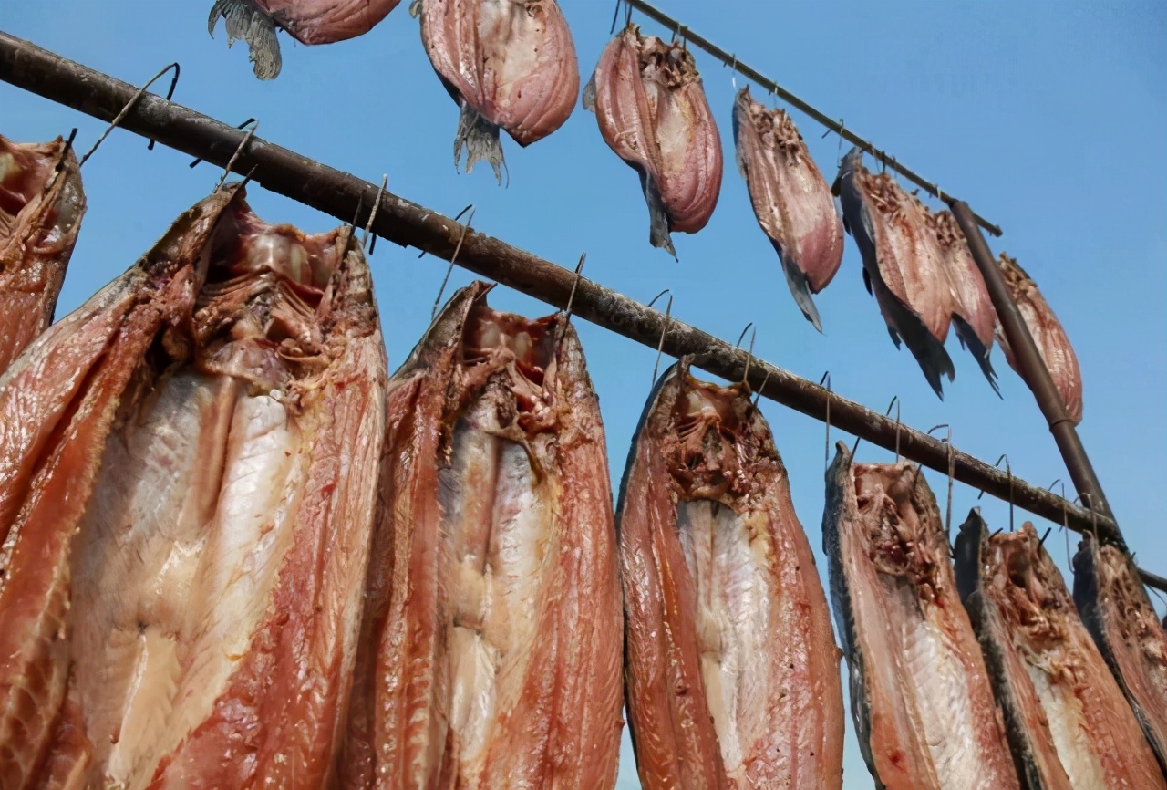 牢记这“5要点”，腌出的腊鱼经久耐放，肉质紧实香味十足