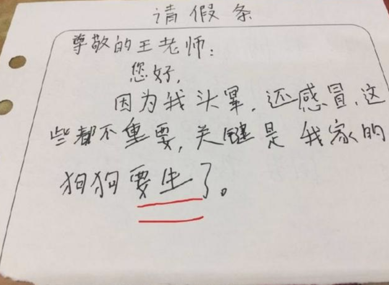 小学生用关联词造句，老师给了满分，爸爸看了却不敢回家