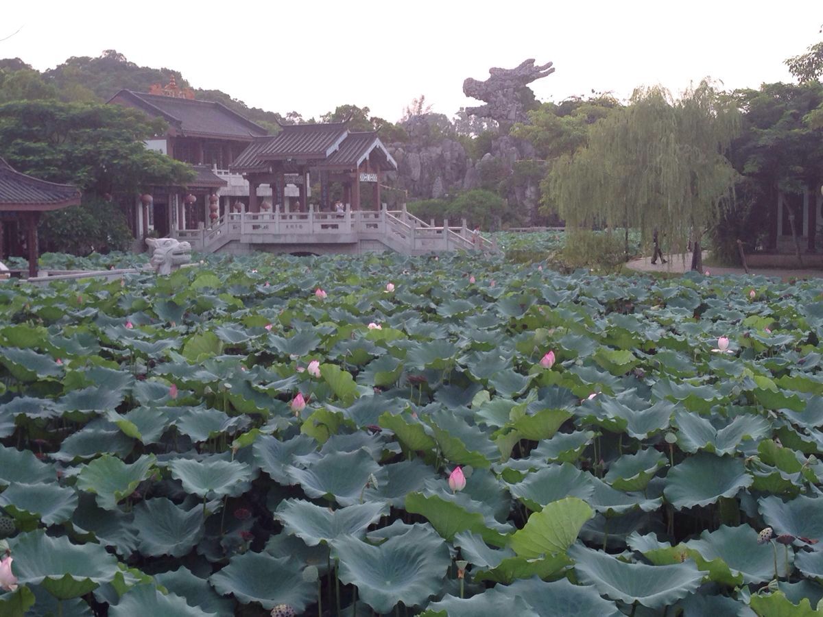 惠州西湖风景名胜，真美，到了惠州不去游玩一下就是白来了