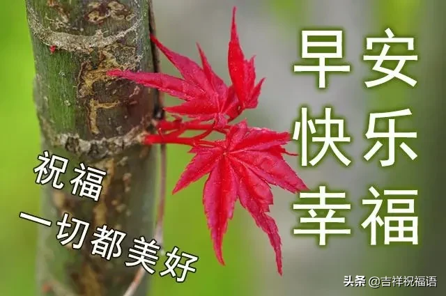 岁月流逝，你我情意不变；时光荏苒，你我牵挂依然，早安