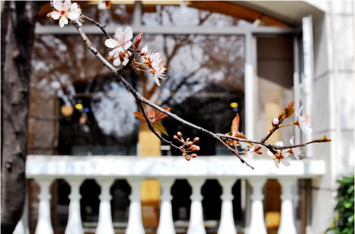 坐拥全国第一、中国首个！上海这所高校还走出央视记者、外交官等名人！