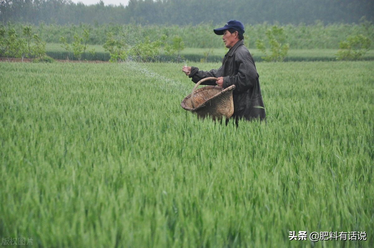 氮肥怎么施用才最合理 不同作物适宜选用哪种氮肥 氮肥用法讲解一 氮的含量和分布二 氮的生理功能三 作物对氮的吸收利用四 作物 氮素缺乏与过多症状五 氮肥分类六 常见氮肥的种类性质与合理施用