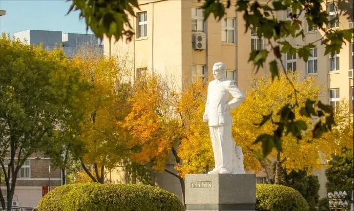 最新！又一重要大学排名揭晓，南开大学这一学科位居全球第9位！