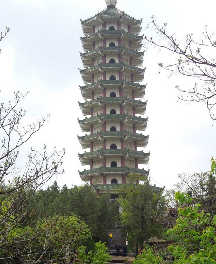 蒼山大蒜,蒼山大蒜最新價(jià)格今天